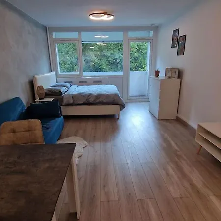 Apartment Charming New Near Geneva Ferney-Voltaire
