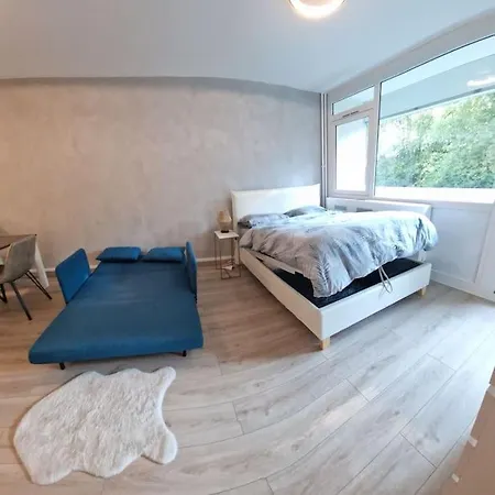 Charming New Near Geneva * Ferney-Voltaire