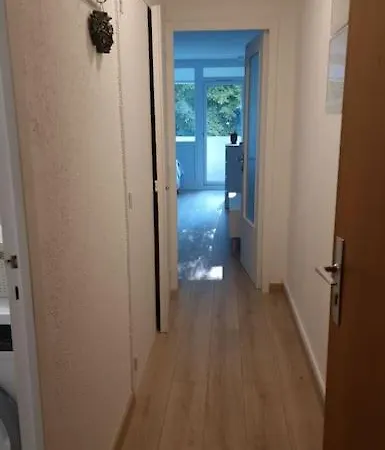 Charming New Near Geneva Ferney-Voltaire