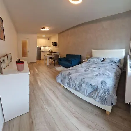 Charming New Near Geneva Apartment Ferney-Voltaire