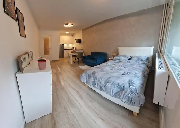 Charming New Near Geneva Apartament Ferney-Voltaire